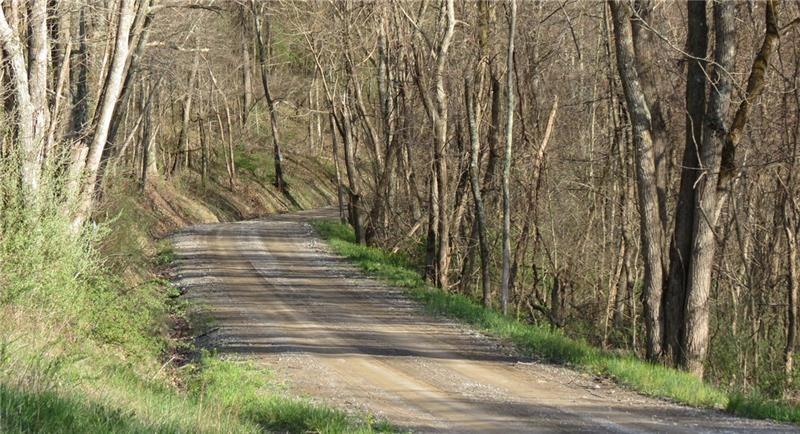 0 Drift Ridge Road / Sheppard Run Spraggs, PA 15362 - Photo 13 of 20 a view of pathway with yard