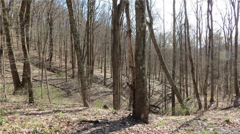 0 Drift Ridge Road / Sheppard Run Spraggs, PA 15362 - Photo 15 of 20 a view of outdoor space with lots of trees