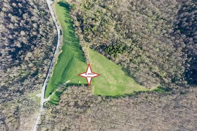 a view of a yard with a wooden fence