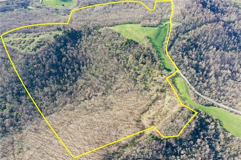 0 Drift Ridge Road / Sheppard Run Spraggs, PA 15362 - Photo 7 of 20