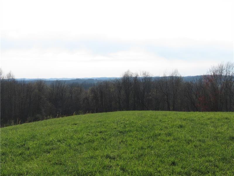 0 Drift Ridge Road / Sheppard Run Spraggs, PA 15362 - Photo 10 of 20 a view of a backyard