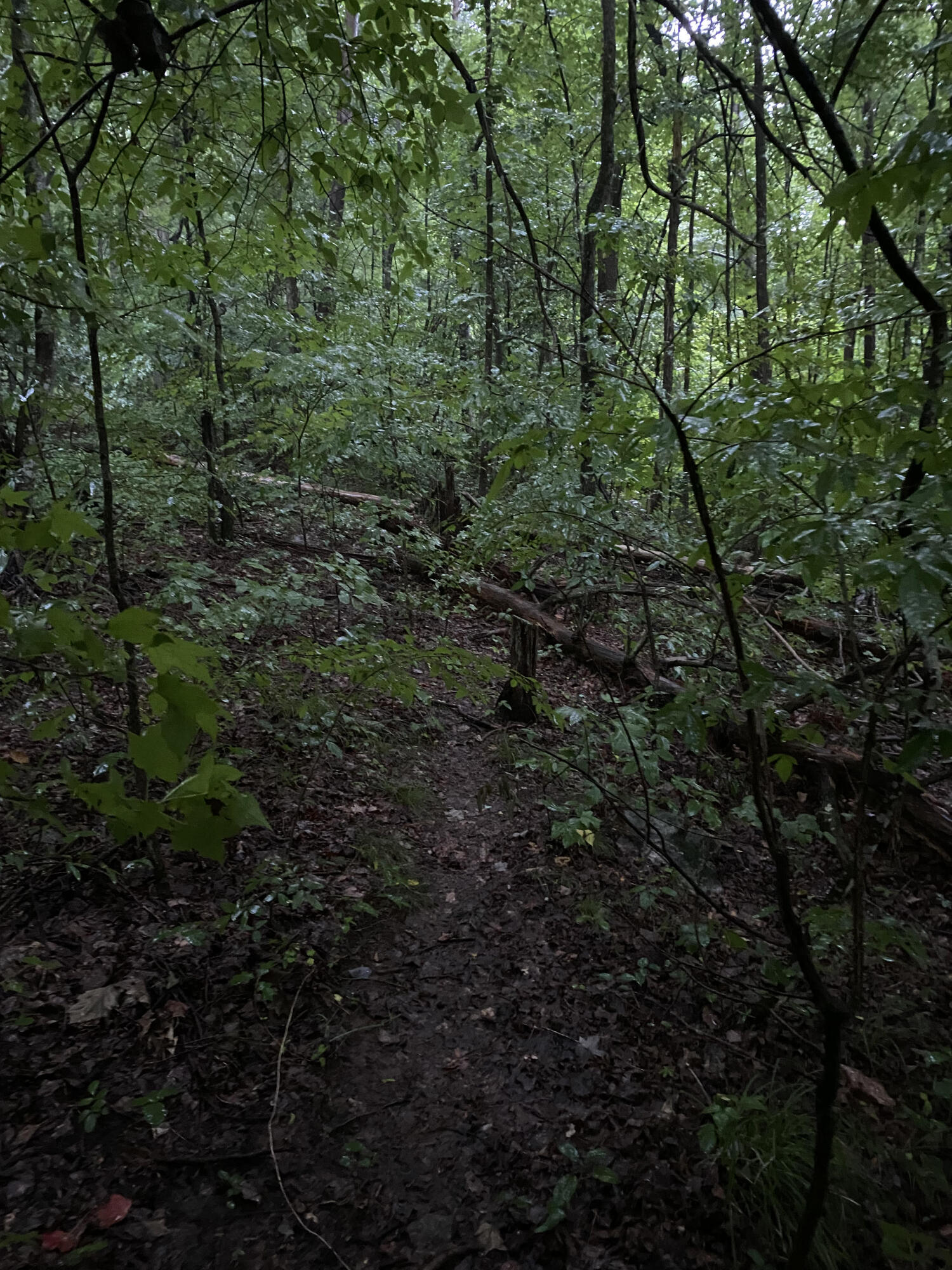 415 Simpson Road, Unit 7 Bulls Gap, TN 37711 - Photo 12 of 38 k
