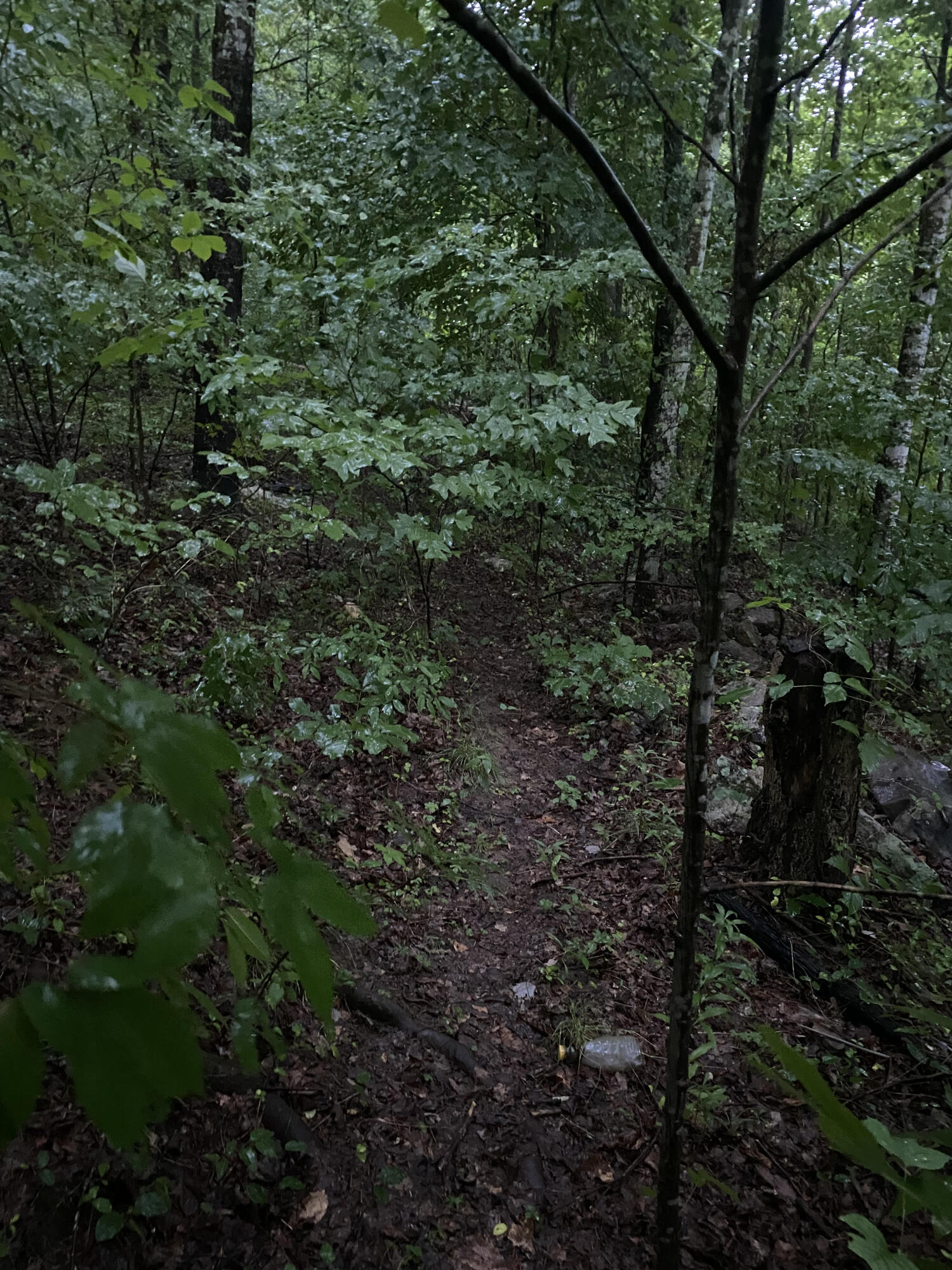 415 Simpson Road, Unit 7 Bulls Gap, TN 37711 - Photo 13 of 38 j