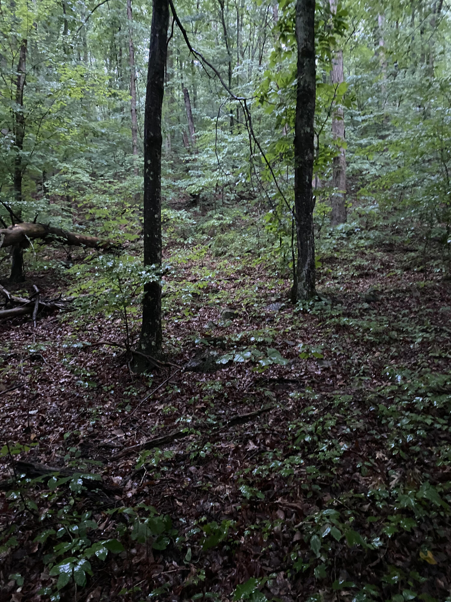 415 Simpson Road, Unit 7 Bulls Gap, TN 37711 - Photo 25 of 38 m