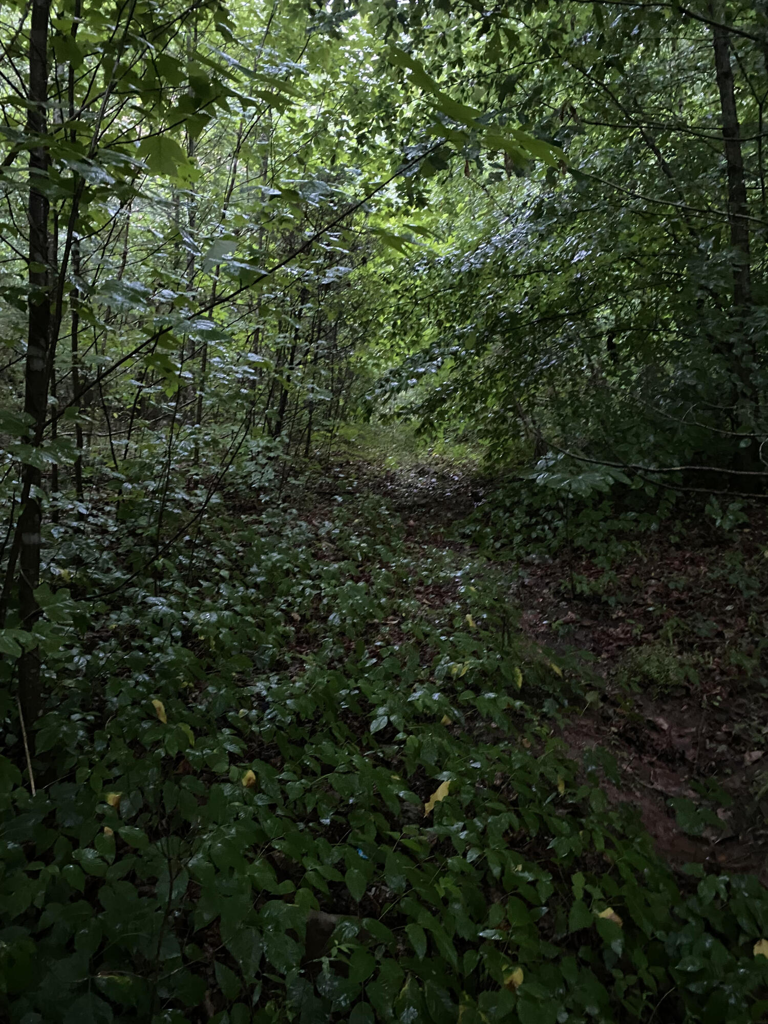 415 Simpson Road, Unit 7 Bulls Gap, TN 37711 - Photo 26 of 38 i