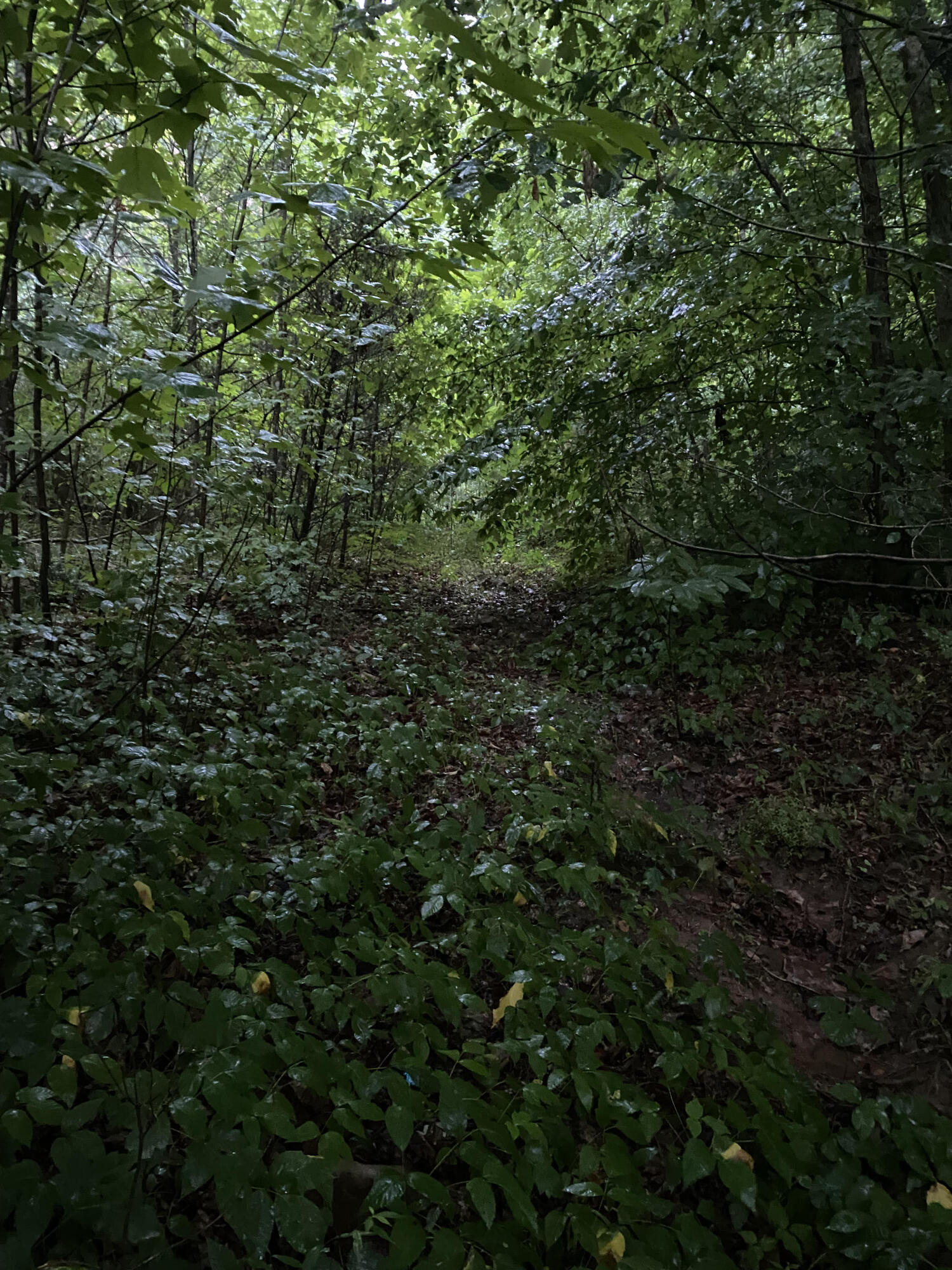 415 Simpson Road, Unit 7 Bulls Gap, TN 37711 - Photo 27 of 38 h