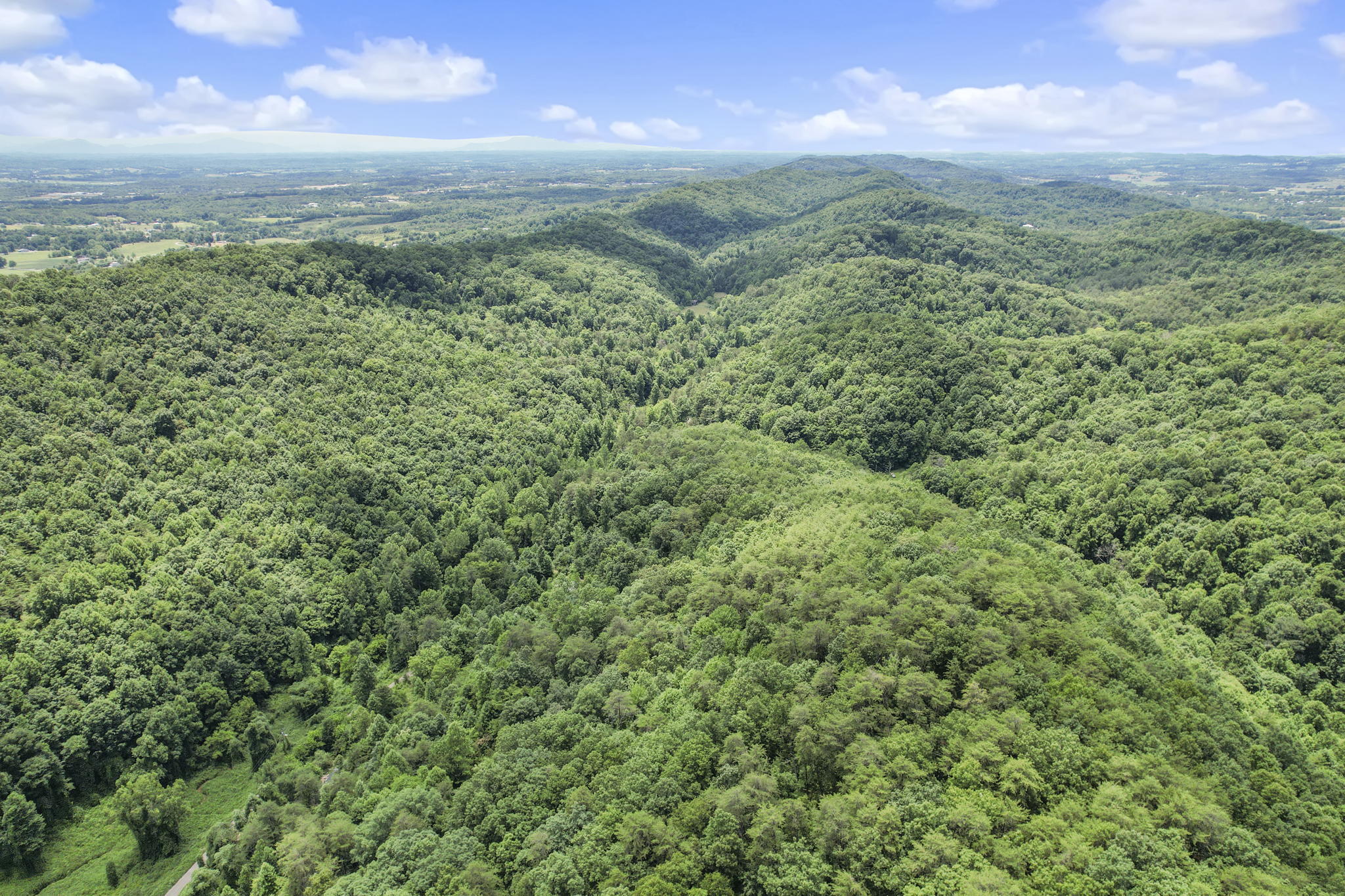 415 Simpson Road, Unit 7 Bulls Gap, TN 37711 - Photo 32 of 38 5-web-or-mls-DJI_0354
