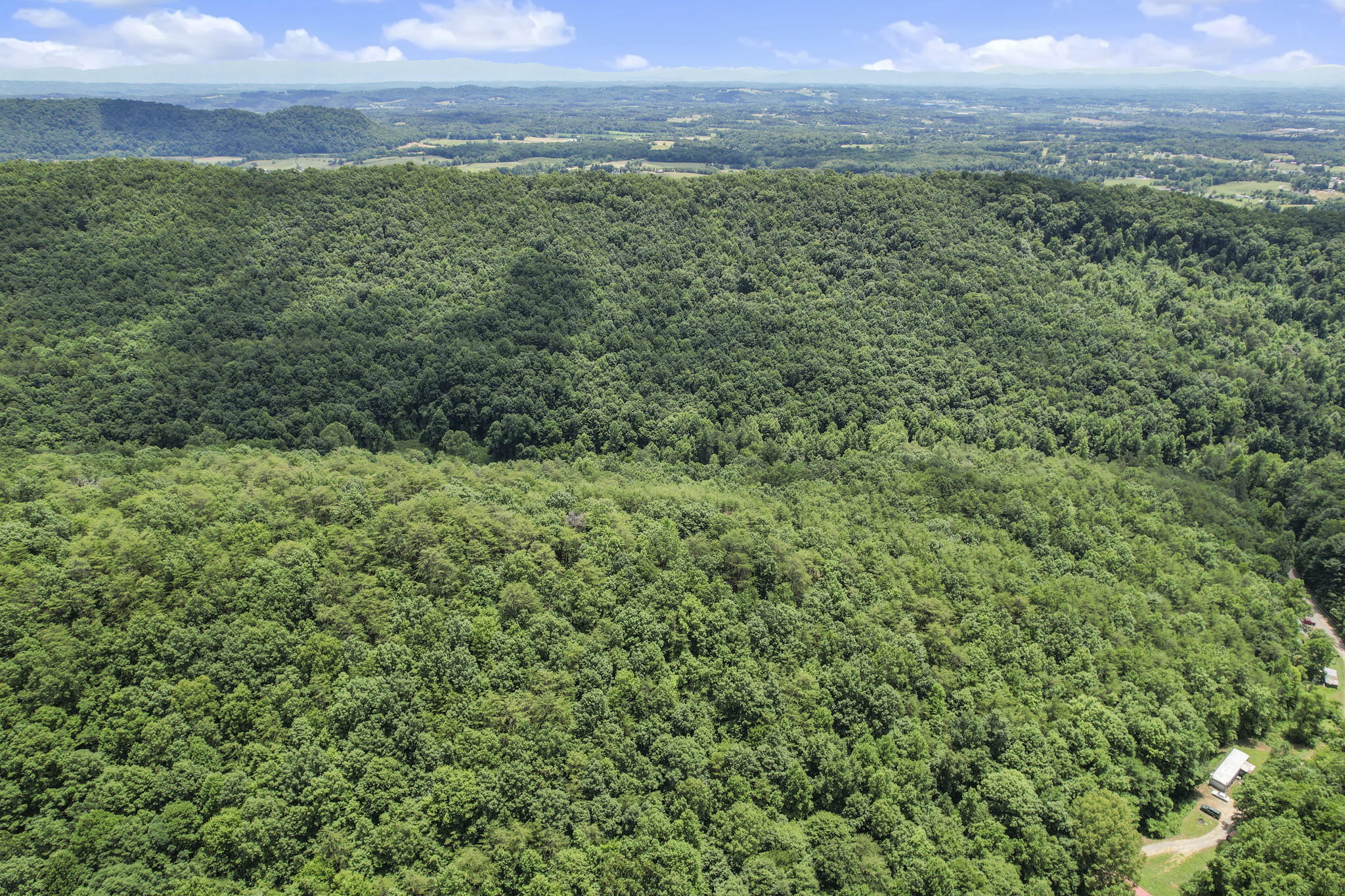 415 Simpson Road, Unit 7 Bulls Gap, TN 37711 - Photo 34 of 38 7-web-or-mls-DJI_0360