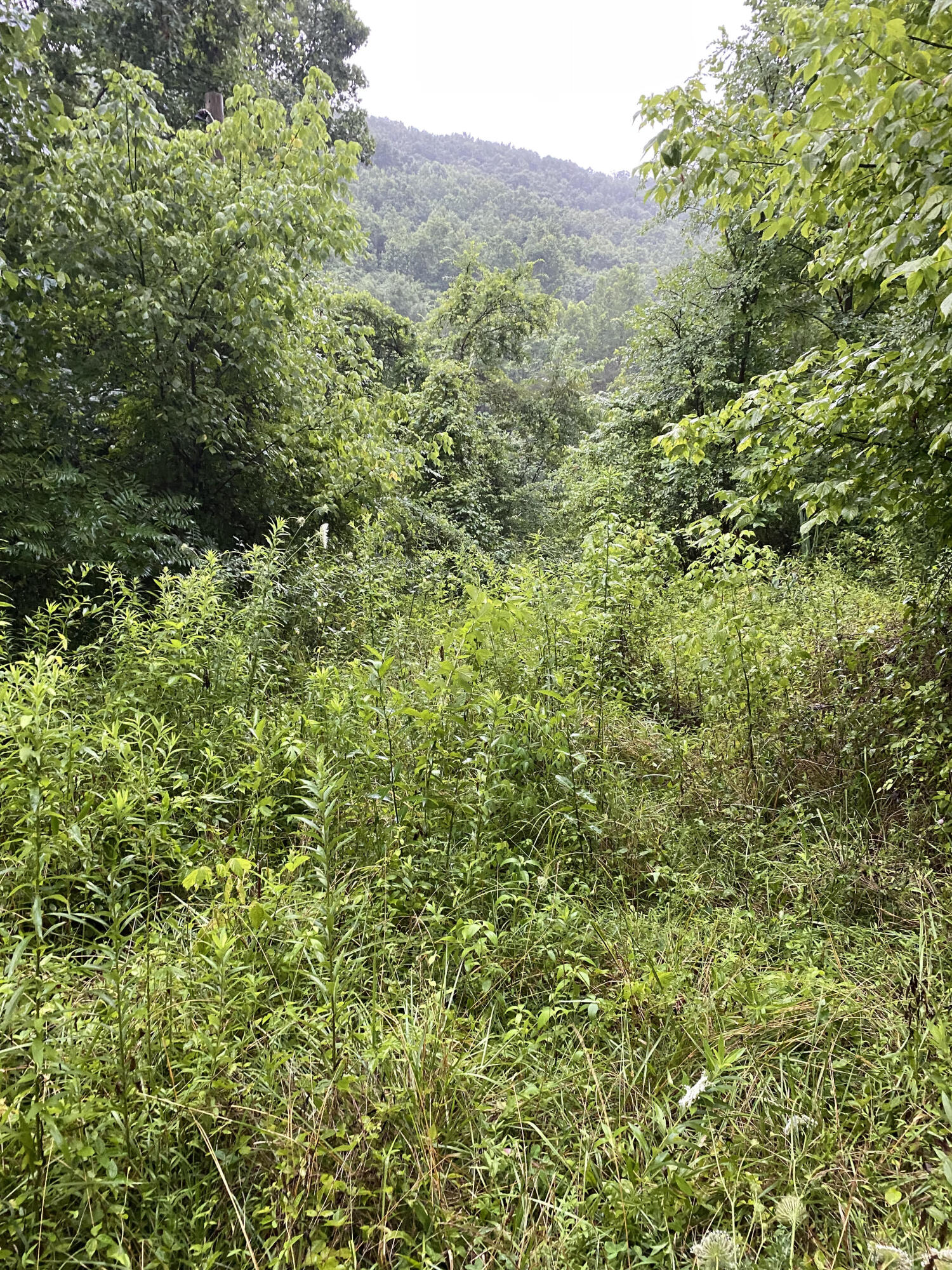415 Simpson Road, Unit 7 Bulls Gap, TN 37711 - Photo 9 of 38 z