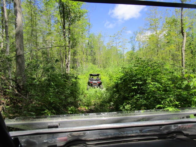 7720 Airport Road Vanderbilt, MI 49795 - Photo 56 of 62 Gallery Image 56