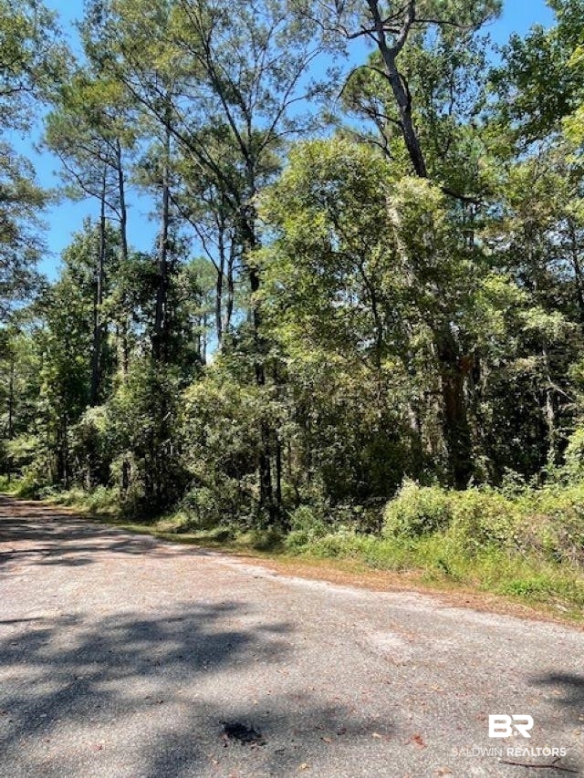 0 Caster Street Mobile, AL 36605 - Photo 1 of 3