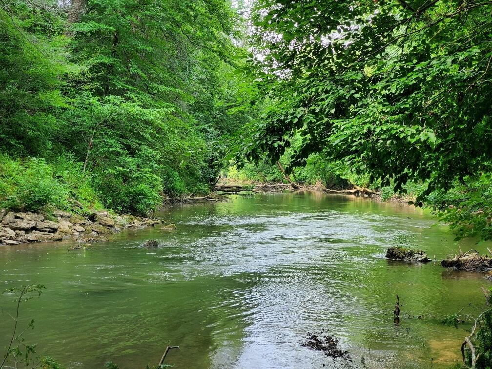 121 River Ridge Drive Dunlap, TN 37327 - Photo 5 of 12 2 River