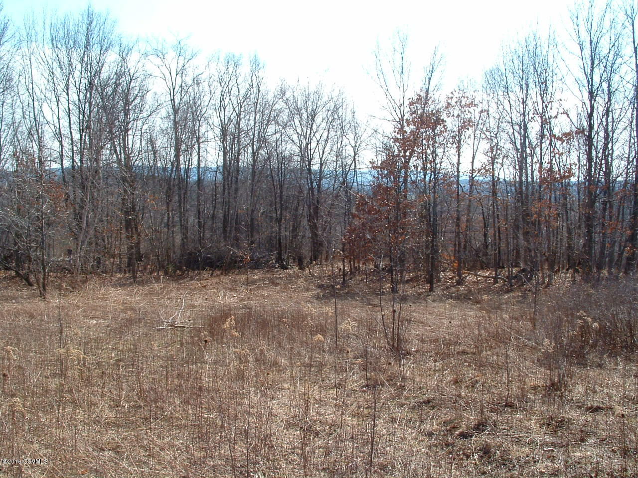Marvin Road Shickshinny, PA 18655 - Photo 3 of 15