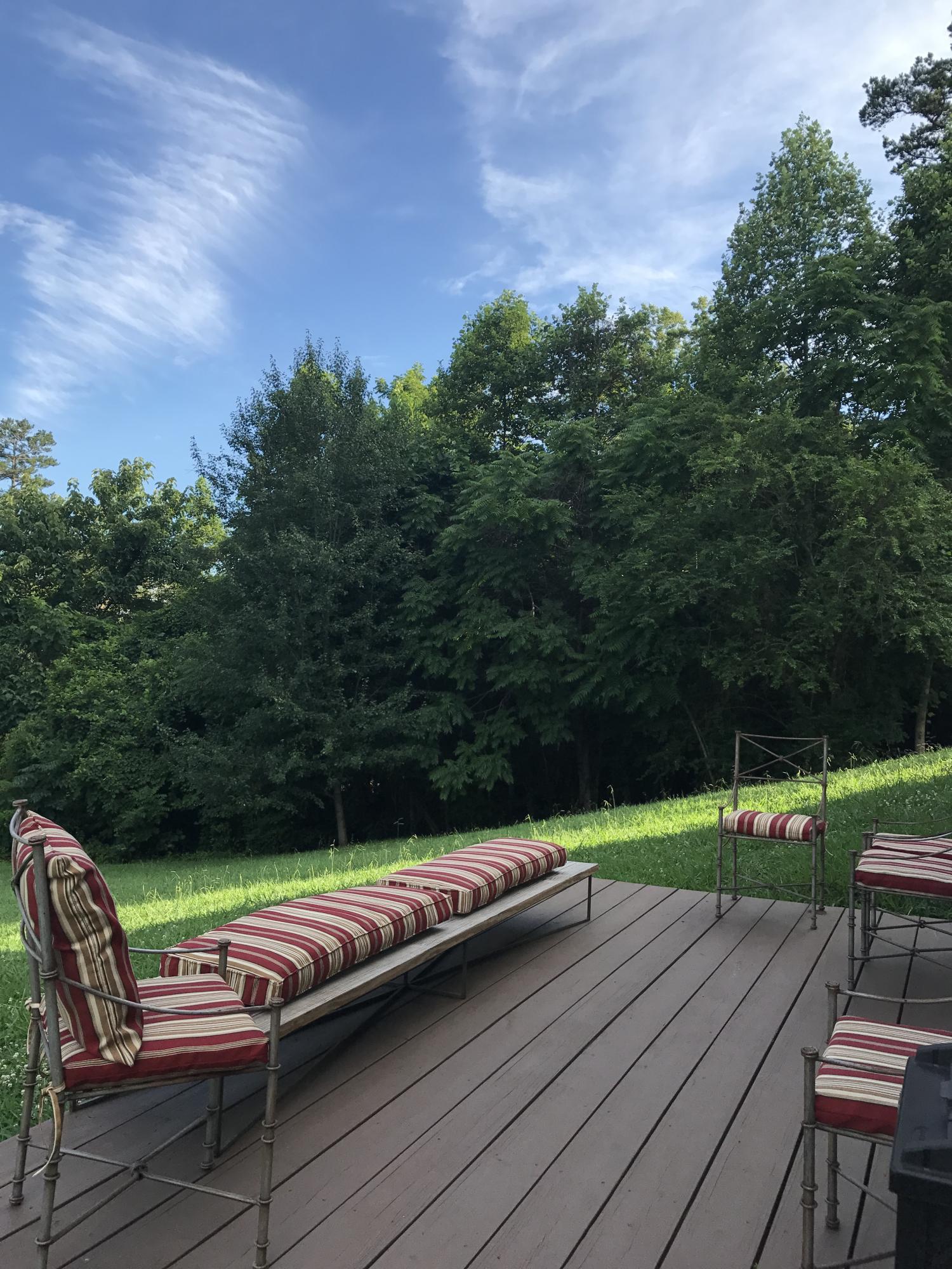 1197 Laurel Road Clinton, TN 37716 - Photo 35 of 37 Enjoy private Backyard