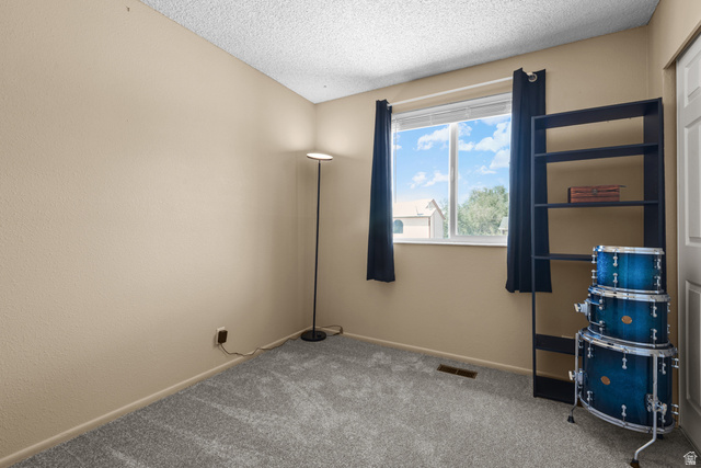 3951 Brixton Road Salt Lake City, UT 84129 - Photo 16 of 22 Room featuring neutral-toned walls, textured ceiling, and grey carpet flooring