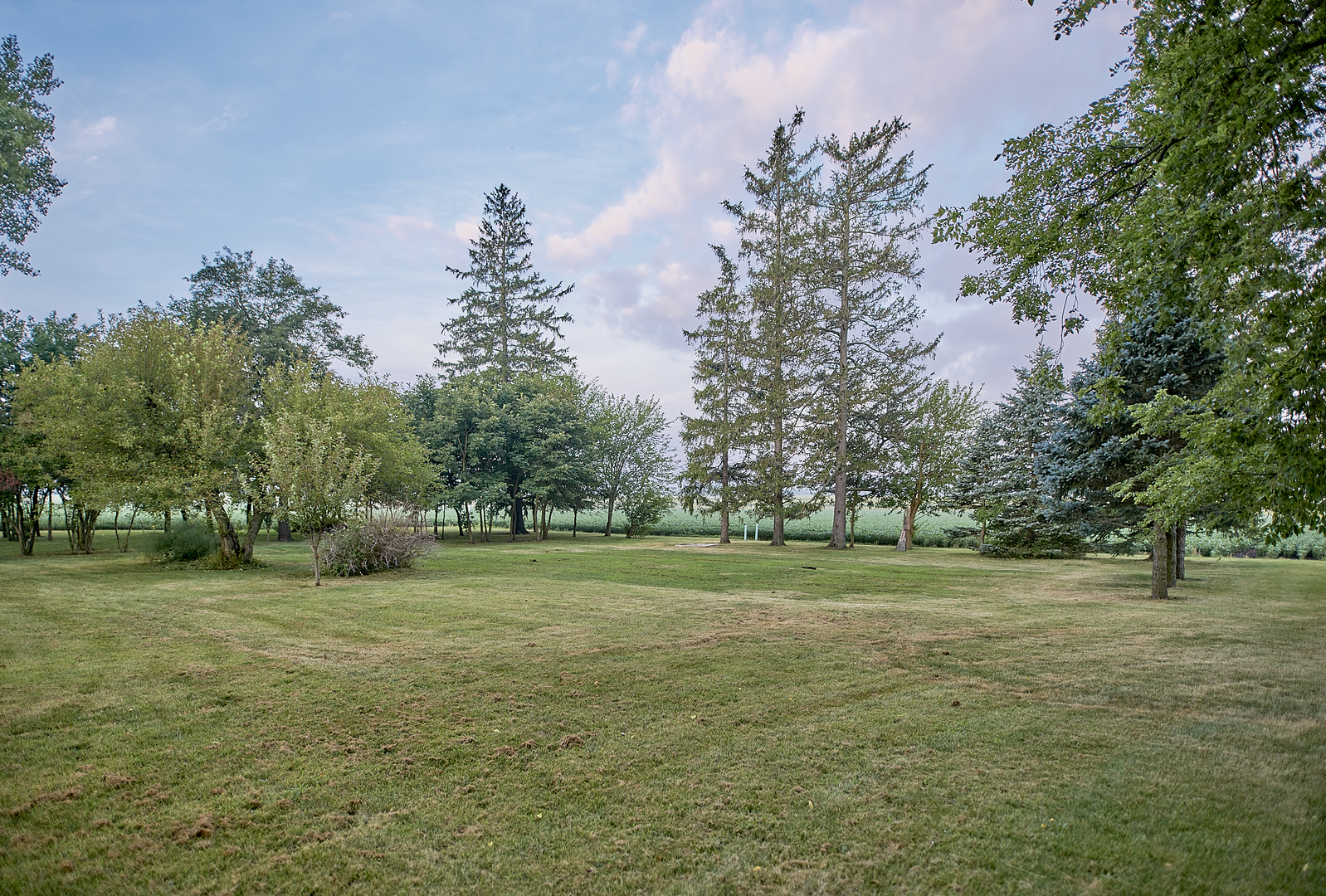 29721 East 3200 North Road Blackstone, IL 61313 - Photo 11 of 23 a big yard with lots of green space and trees