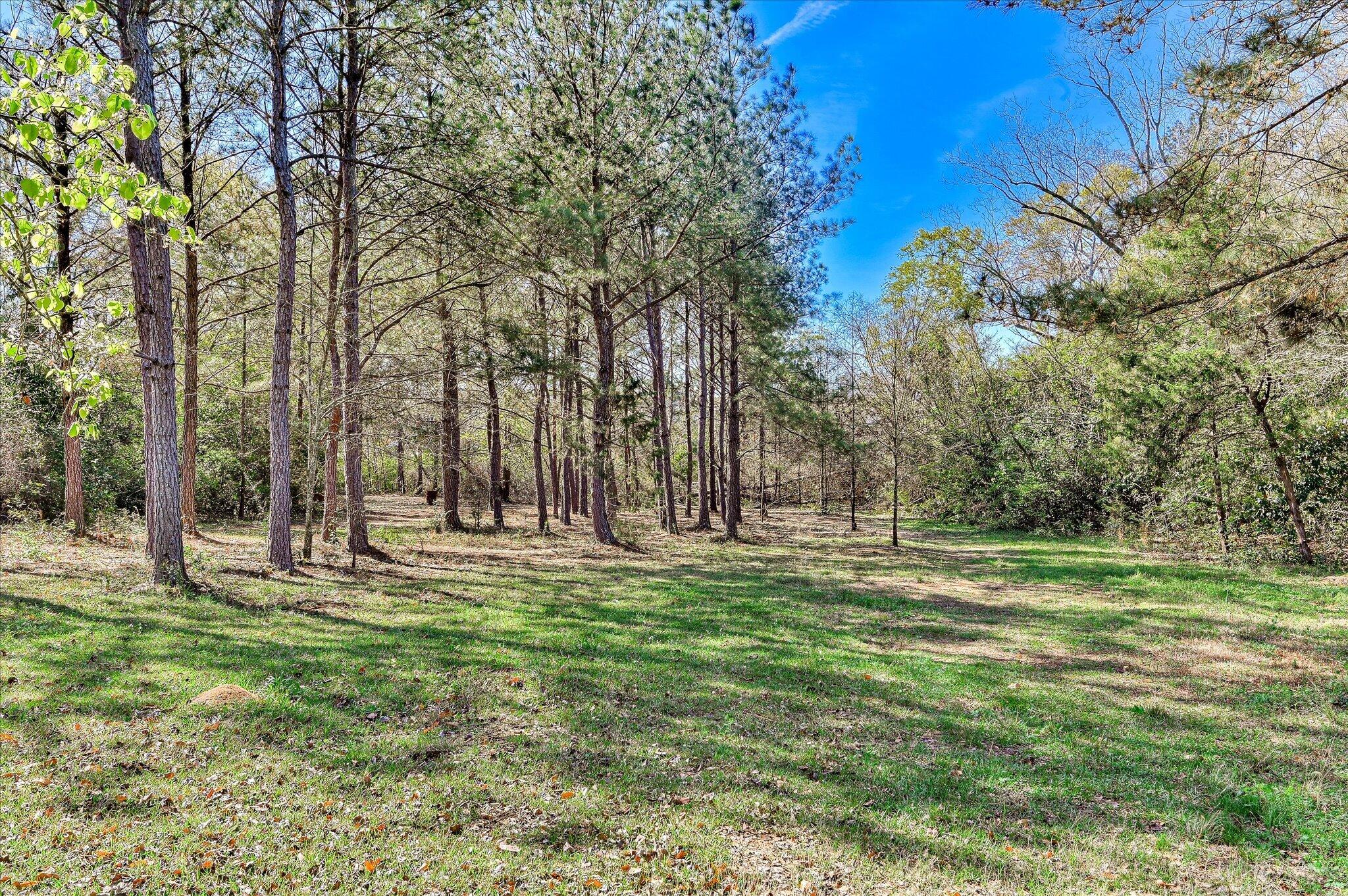 735 West Milledgeville Road Harlem, GA 30814 - Photo 26 of 27 26-126