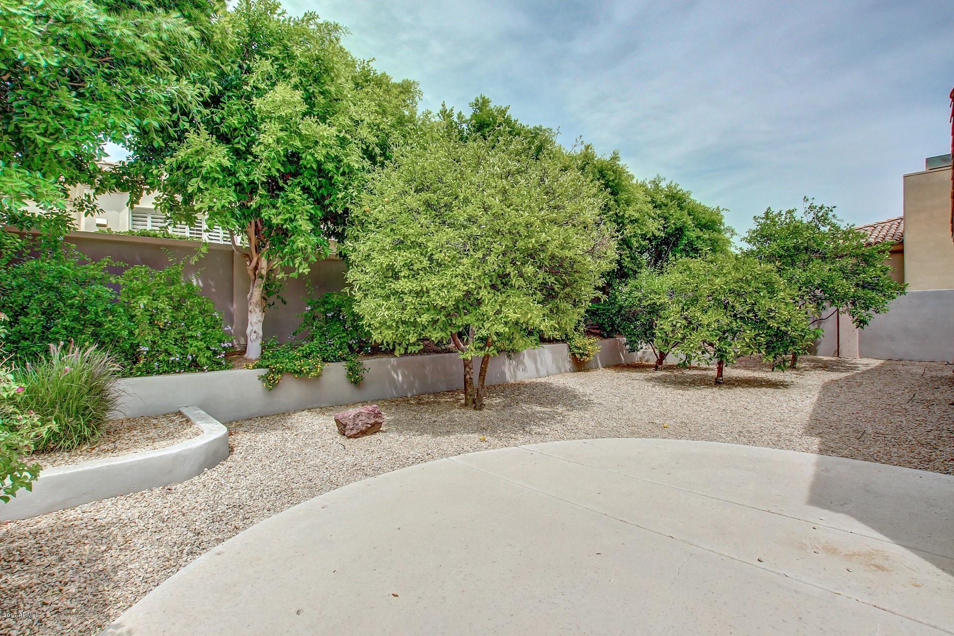 8250 East Mountain Spring Road Scottsdale, AZ 85255 - Photo 28 of 32 0031-Moutain Spring (34)