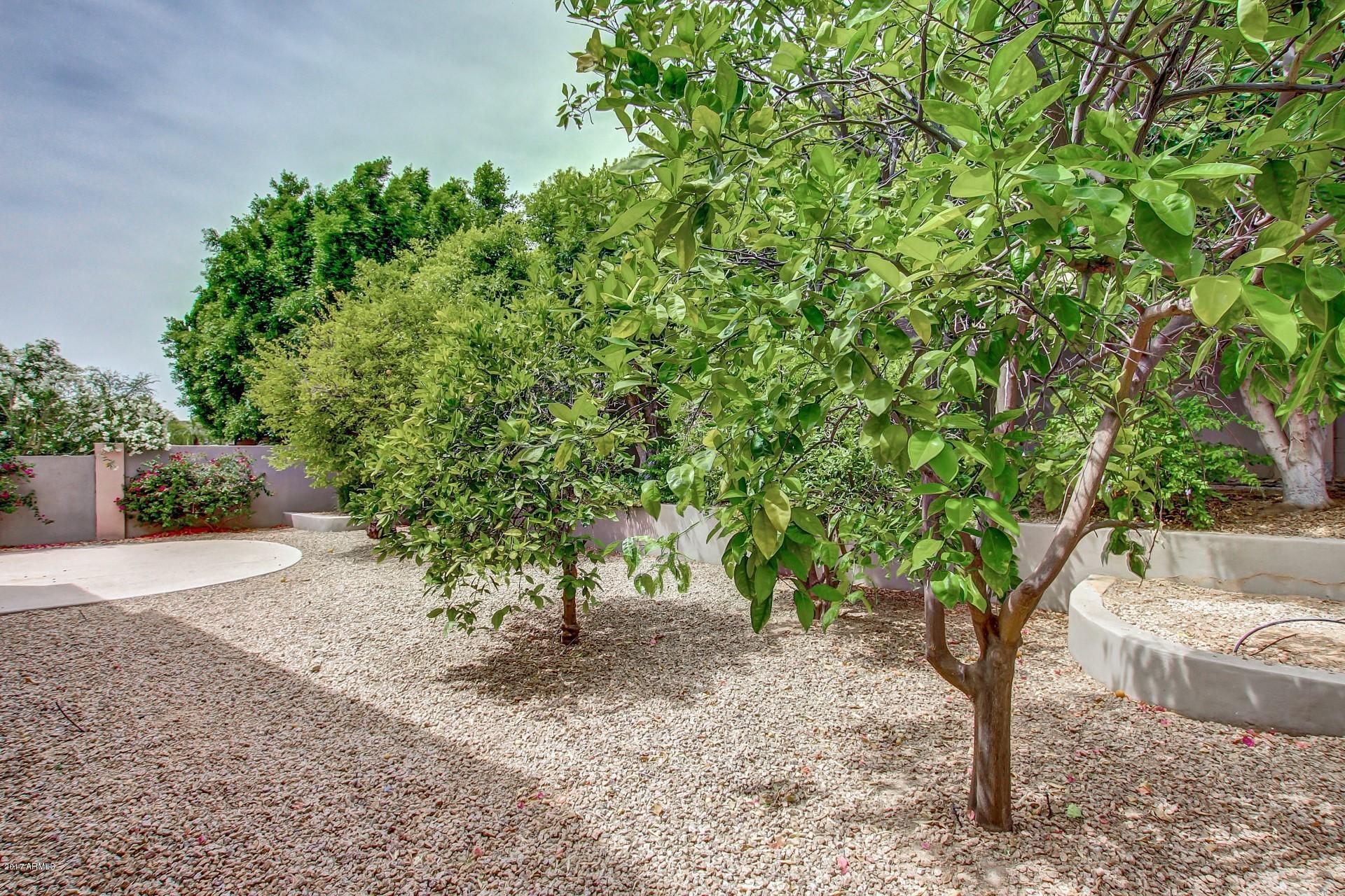 8250 East Mountain Spring Road Scottsdale, AZ 85255 - Photo 30 of 32 0033-Moutain Spring (36)