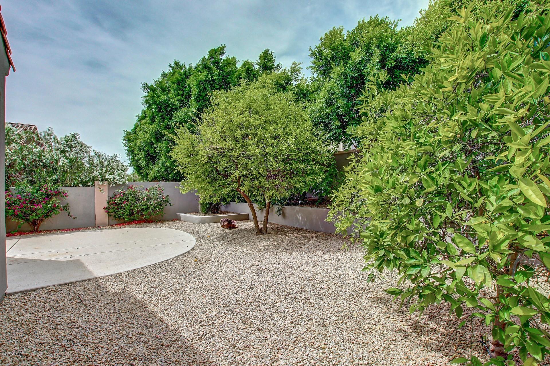 8250 East Mountain Spring Road Scottsdale, AZ 85255 - Photo 31 of 32 0034-Moutain Spring (35)