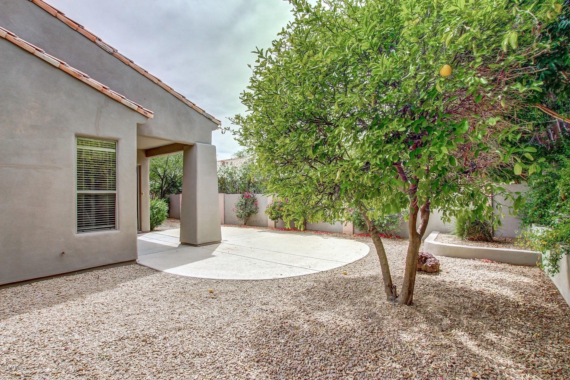 8250 East Mountain Spring Road Scottsdale, AZ 85255 - Photo 32 of 32 0035-Moutain Spring (37)