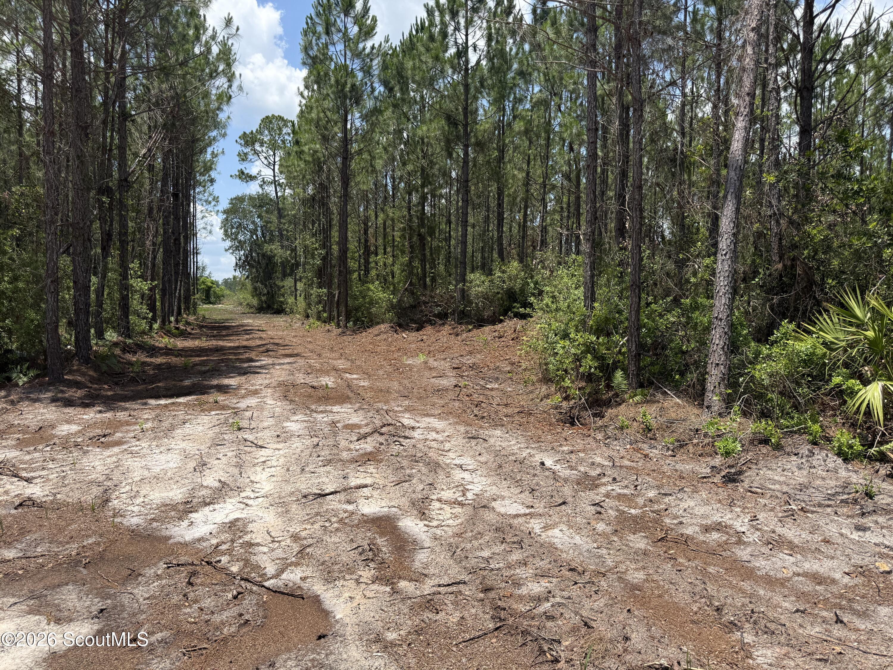 Lot 5 Corbitt Road, Unit LOT 5 Manor, GA 31550 - Photo 6 of 11 IMG_8007