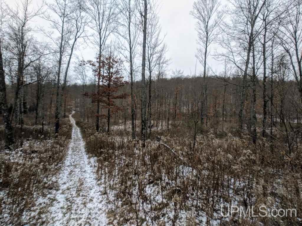 132 Krans Road Iron River, MI 49935 - Photo 14 of 21