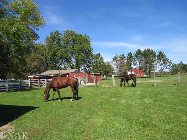 13810 Harrold Point Road Wapella, IL 61777 - Photo 24 of 27 Gallery Image 24