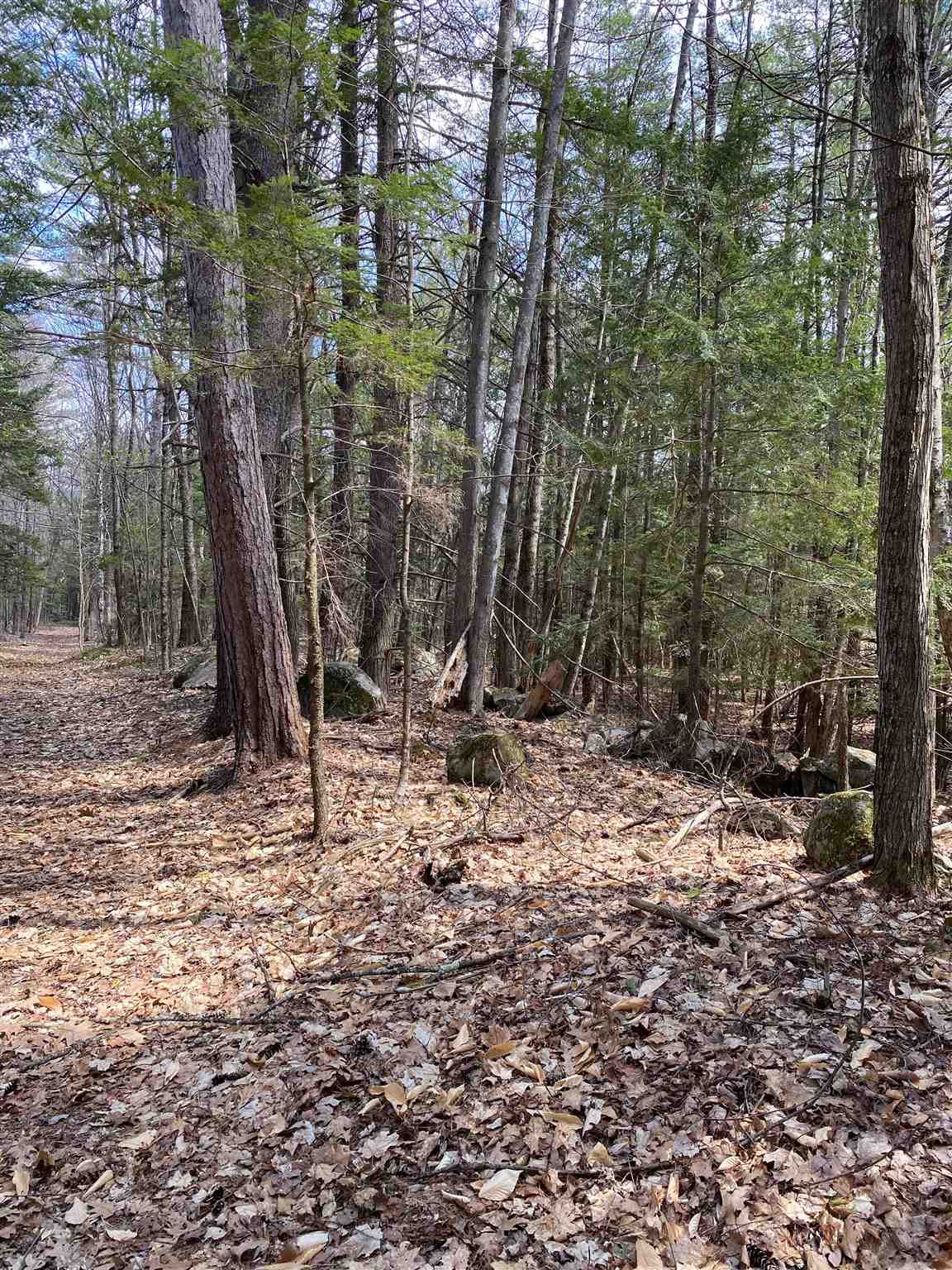 16 Taylor Haynes Road Loudon, NH 03307 - Photo 2 of 7