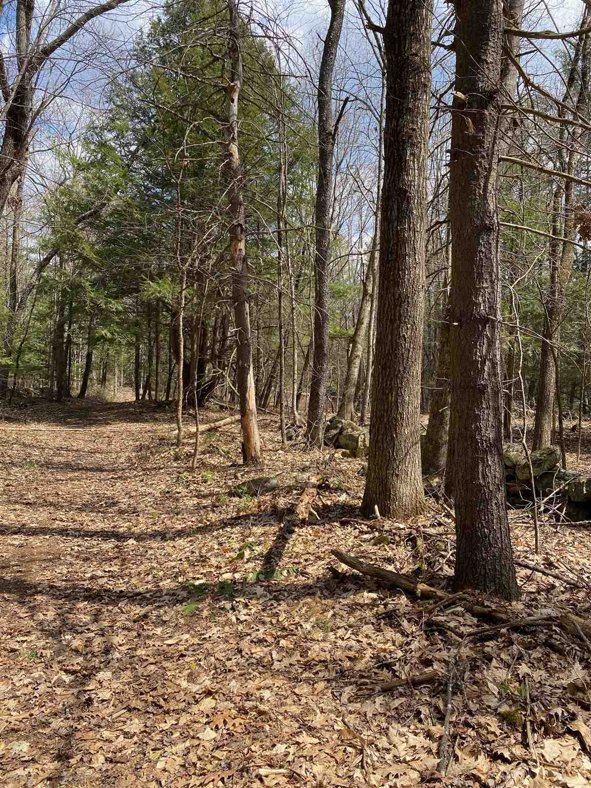 16 Taylor Haynes Road Loudon, NH 03307 - Photo 3 of 7