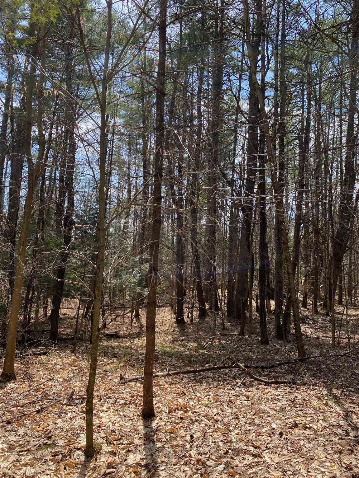 16 Taylor Haynes Road Loudon, NH 03307 - Photo 4 of 7