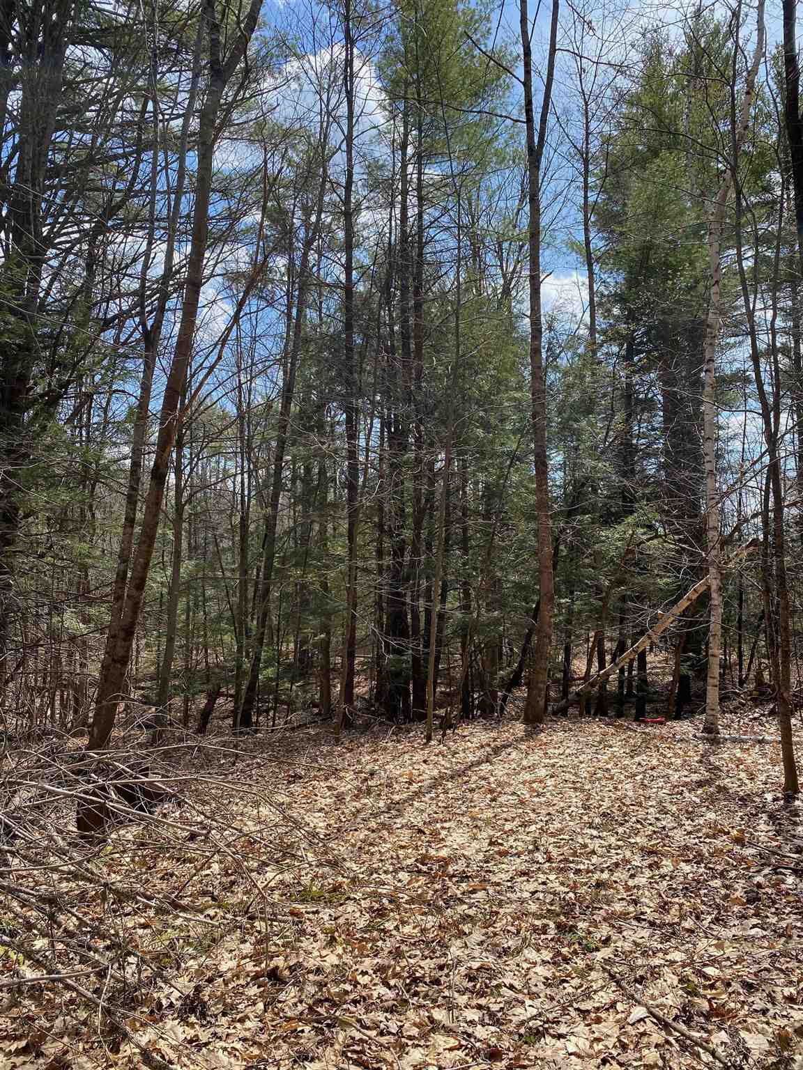 16 Taylor Haynes Road Loudon, NH 03307 - Photo 5 of 7