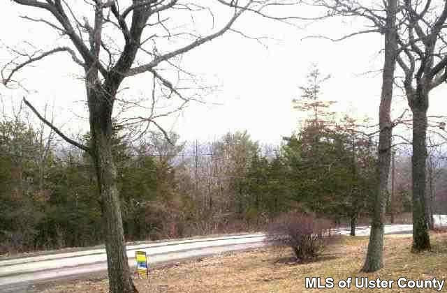 49 High Hill Road Catskill, NY 12414 - Photo 1 of 4 a view of a outdoor space