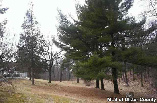 49 High Hill Road Catskill, NY 12414 - Photo 4 of 4