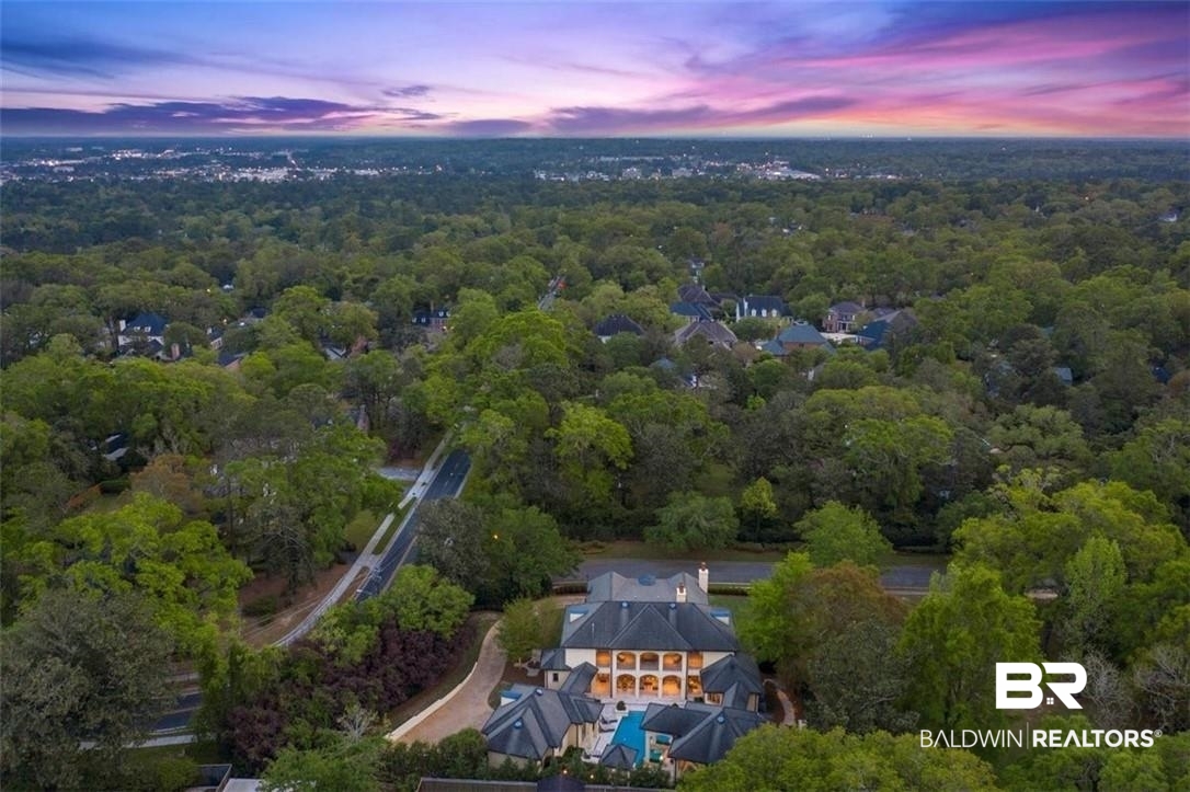 4 Chancery Court Mobile, AL 36608 - Photo 51 of 54 View of aerial view at dusk