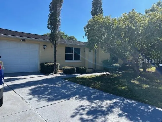 a view of a backyard with plants and trees