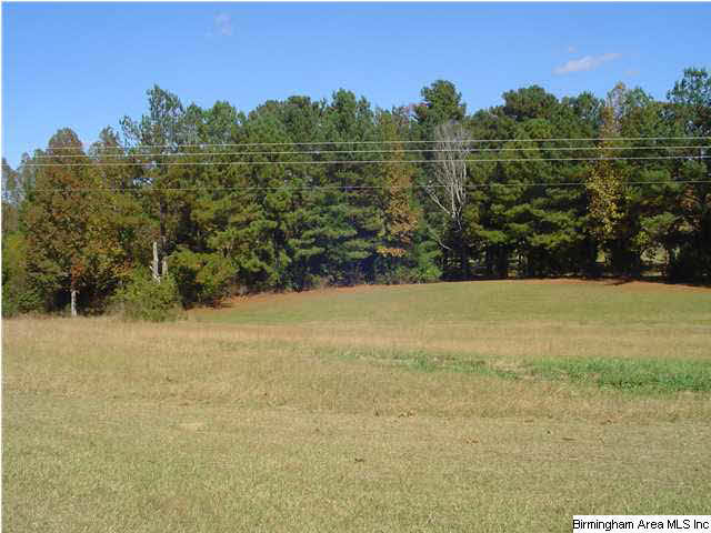 9339 Bradford Trafford Road Warrior, AL 35180 - Photo 5 of 32