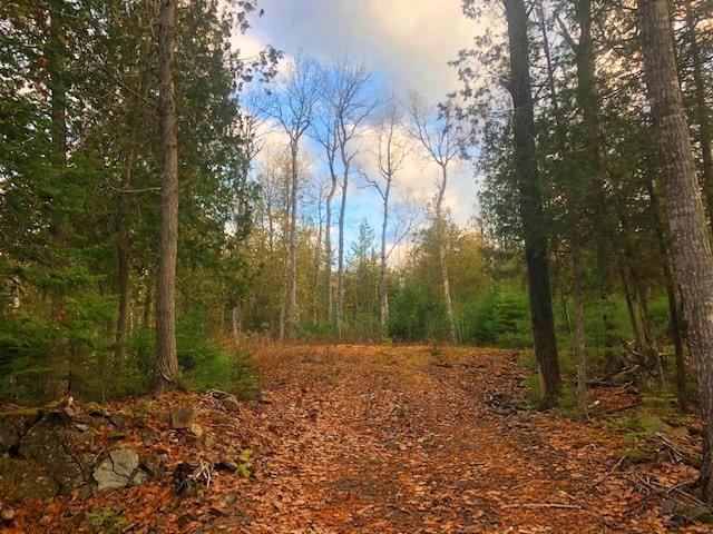 0 Targett Road Rangeley, ME 04970 - Photo 5 of 20 Building Site #2