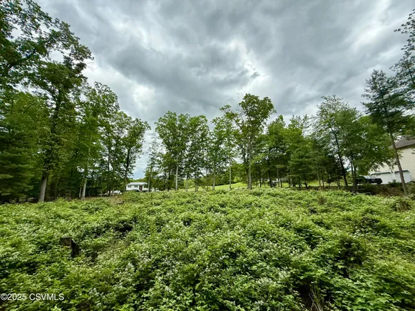 $65,000 | Roadarmel Lane, Paxinos, PA 17860