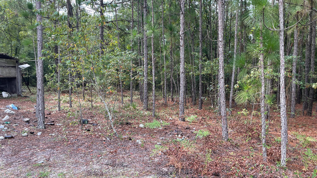 179 Jeffcoat Lane Ridge Spring, SC 29129 - Photo 24 of 24