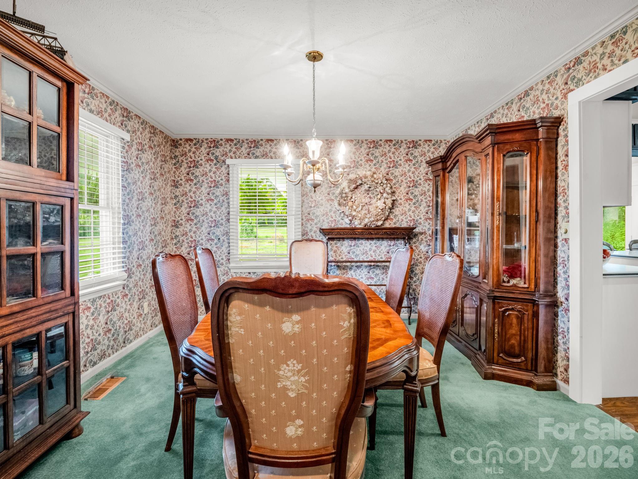 213 Raintree Drive Hendersonville, NC 28791 - Photo 23 of 41