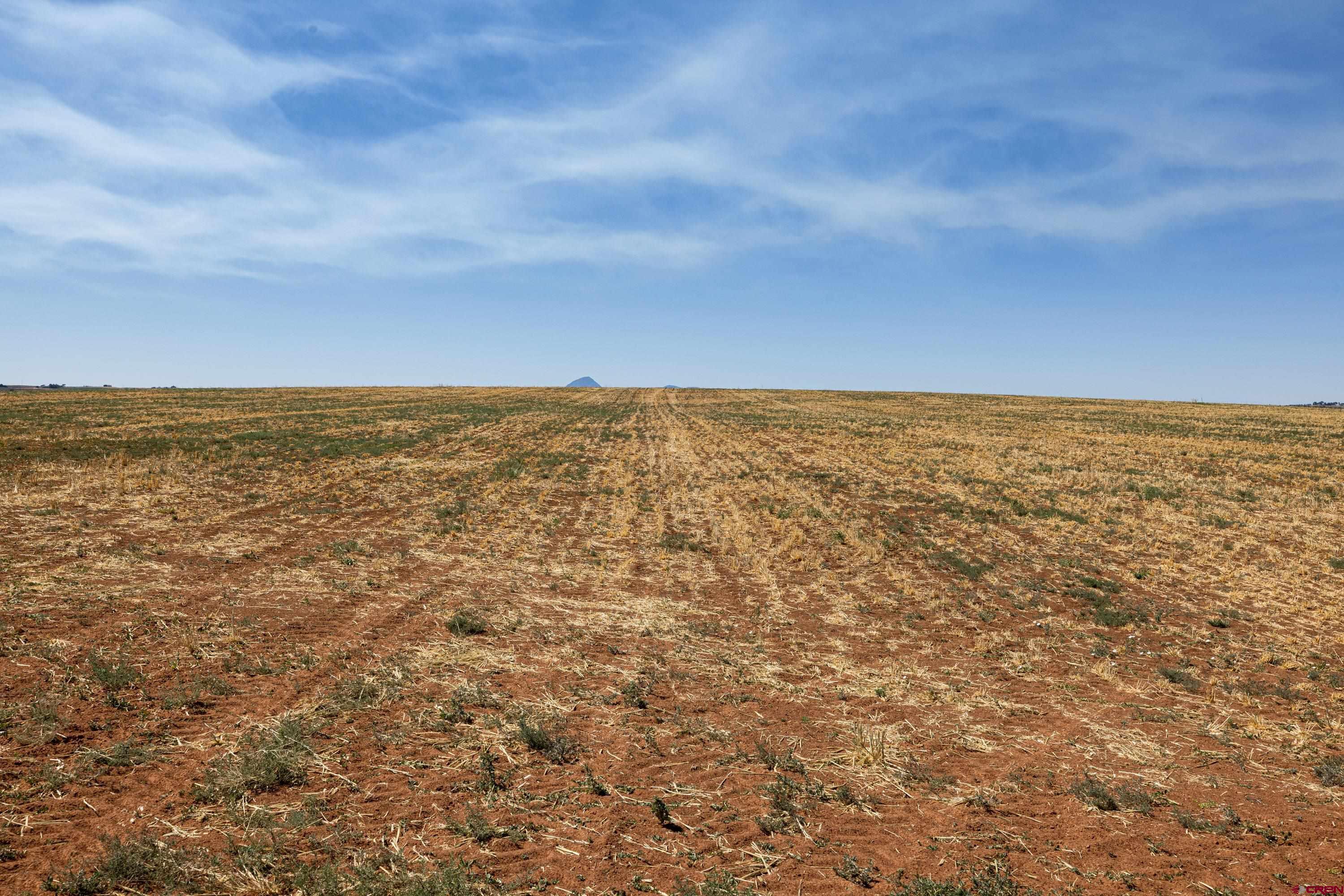 Tbd Tbd Road Pleasant View, CO 81331 - Photo 7 of 17