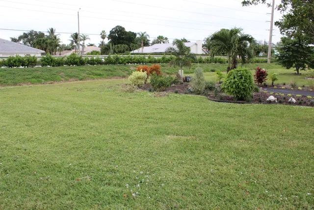 a view of a garden with a lake