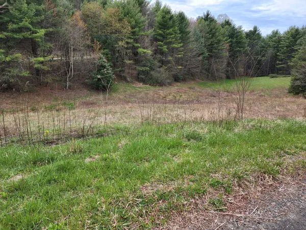 $72,000 | Tbd Tbd Lane, Mountain City, TN 37683
