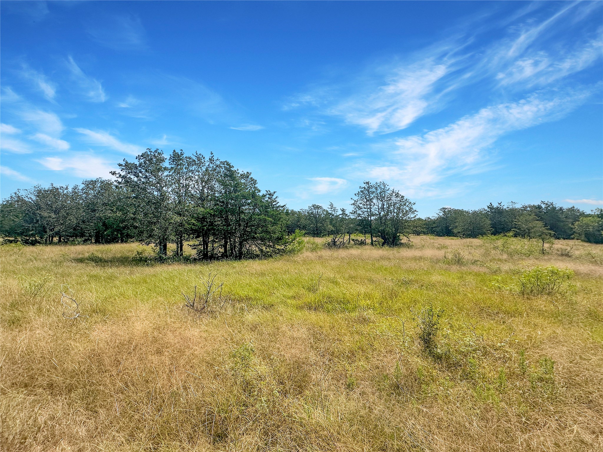 1345 Davis Road Muldoon, TX 78949 - Photo 12 of 25 a view of a lake view
