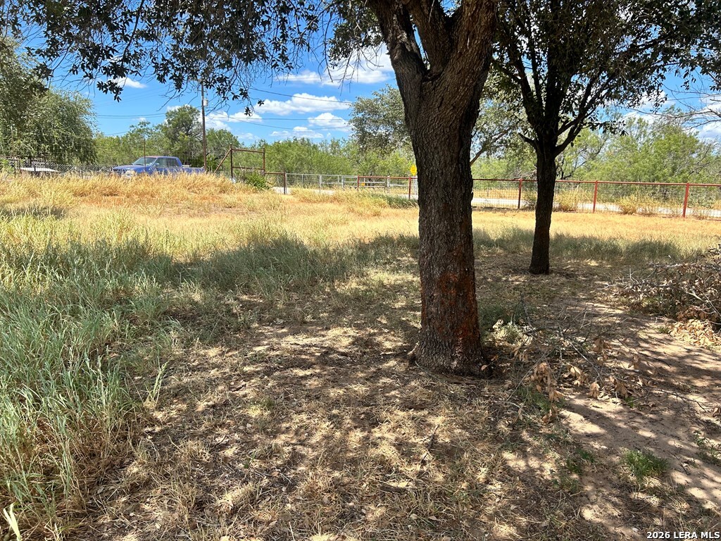 794 Duncan Street Crystal City, TX 78839 - Photo 27 of 38