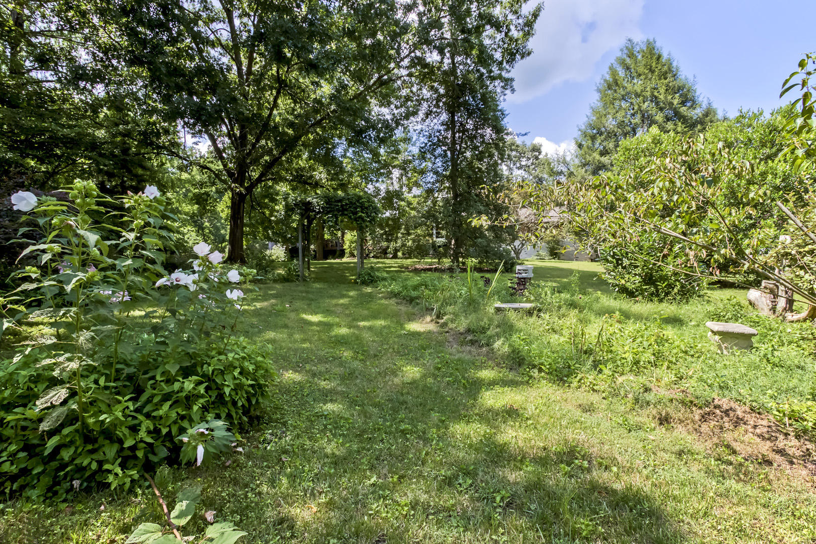 112 West Pawley Road Oak Ridge, TN 37830 - Photo 40 of 40 40_WPawleyRoad_112_Backyard02