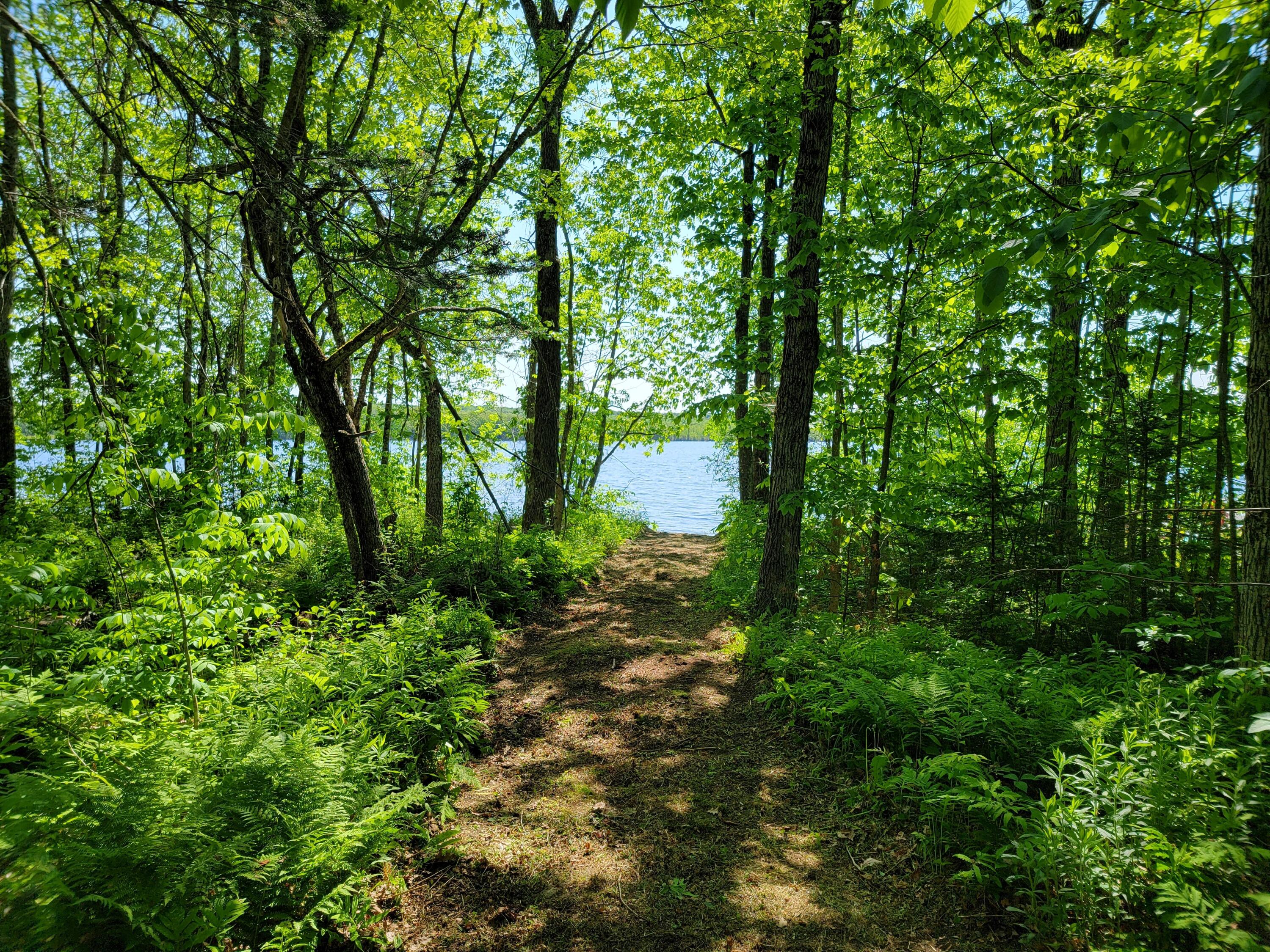 7-5-3a Garcelon Road Burnham, ME 04922 - Photo 9 of 11 Pathway to water frontage