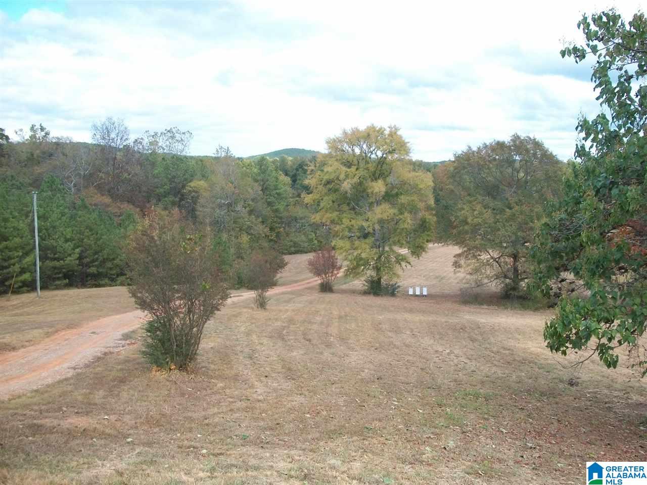 3215 Mudd Street Lincoln, AL 35096 - Photo 7 of 21