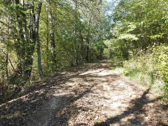 a view of outdoor space with trees